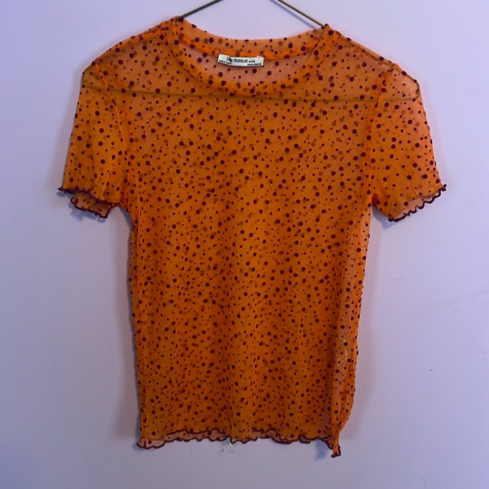 BNWOT Zara Sheer Tee